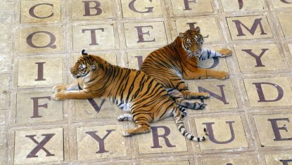 FORT BOYARD 2004