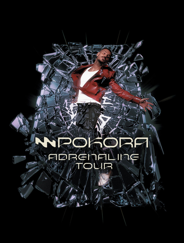 Web_pokora
