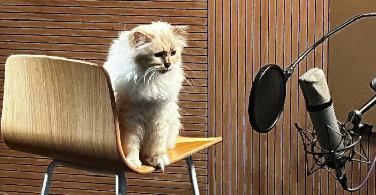 choupette