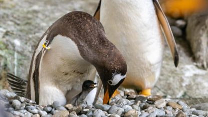 B9734572135Z.1_20230620185435_000+GUIN0E19C.1-0