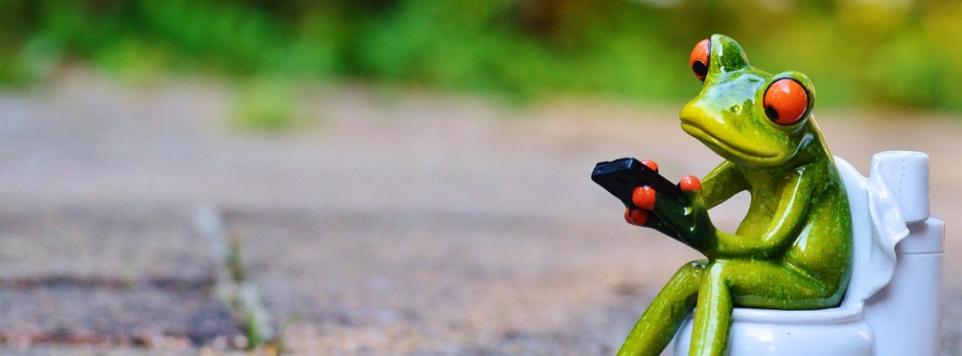frog-914131_1280