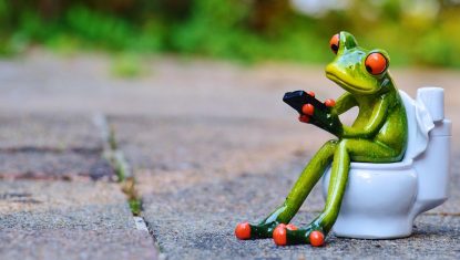 frog-914131_1280