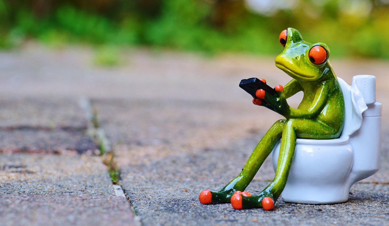 frog-914131_1280