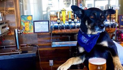 the_dog_cafe-60
