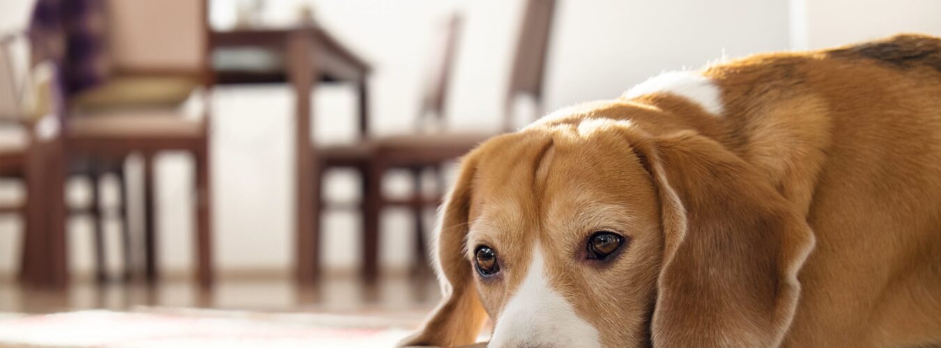 AdobeStock_97787413-scaled