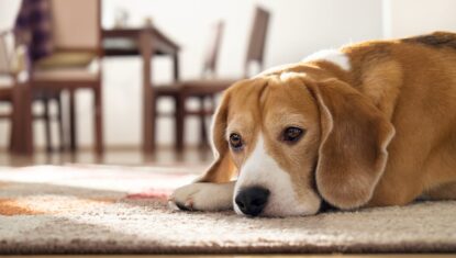 AdobeStock_97787413-scaled