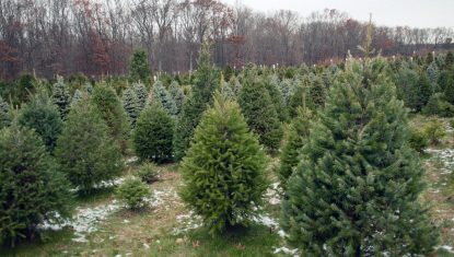 15845022228_a56873b326_o