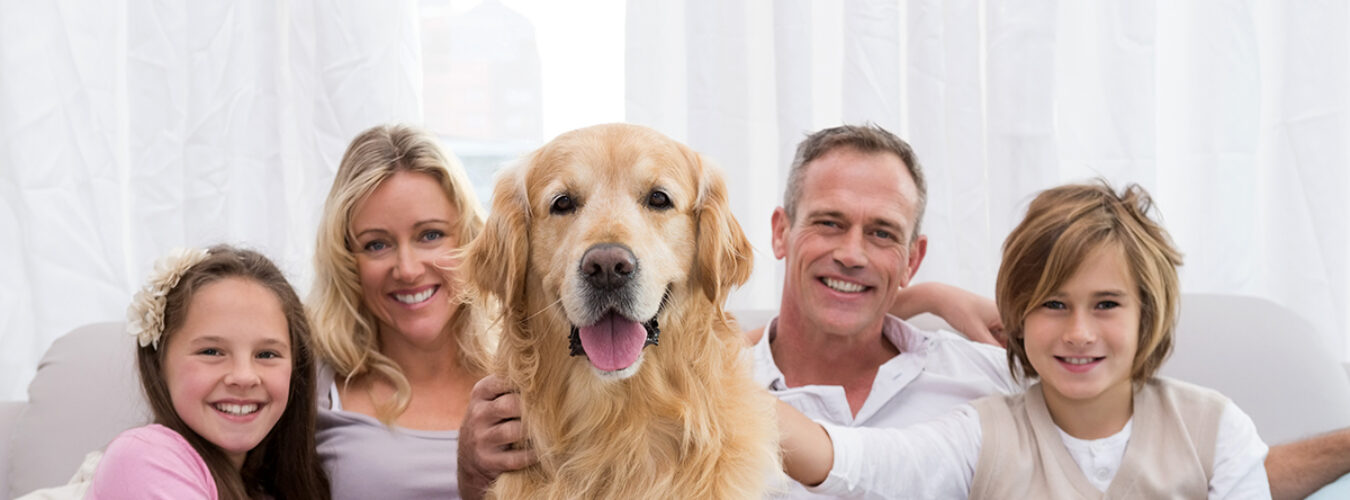 animal-famille-140205