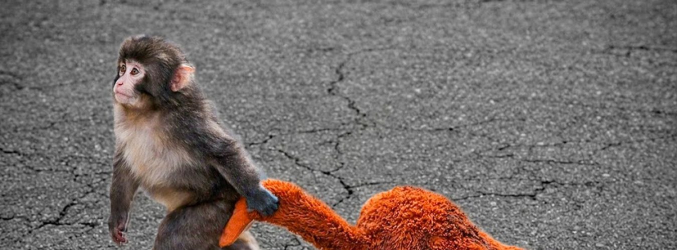 punch-monkey-ikea-toy-details