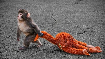 punch-monkey-ikea-toy-details