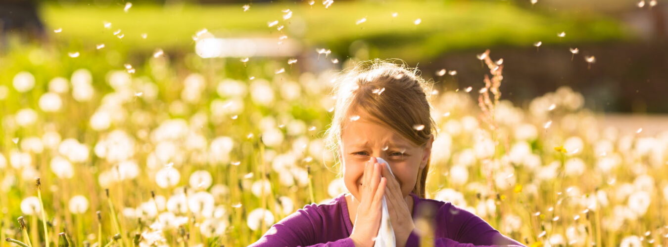 la-concentration-des-anticorps-en-question-pour-declencher-une-allergie-photo-adobe-stock-1712825672